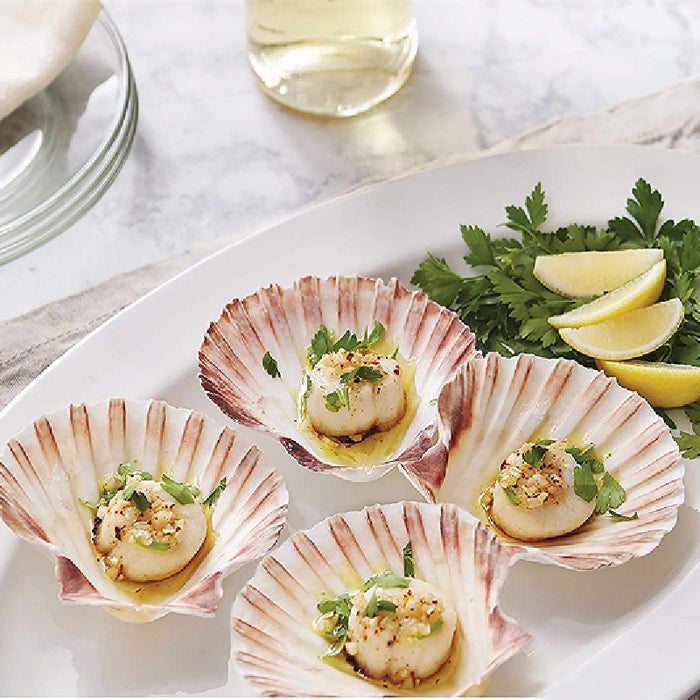 Nantucket Seafood Natural Baking Sea Shells Set of Austin, Texas —  Faraday's Kitchen Store