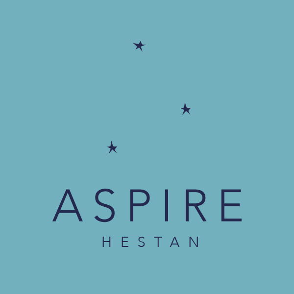 Windscreen for Aspire by Hestan 42" Grill